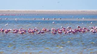 Announcing 2020 Interns