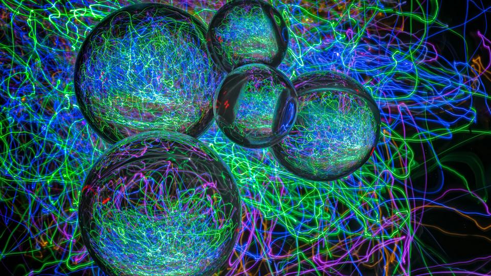 Newly certified instructors in August 2020