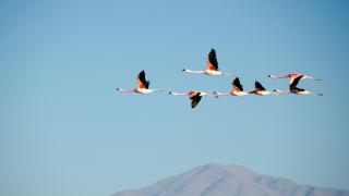 Joining the R Community