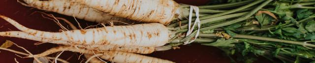 parsnip