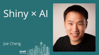 Joe Cheng - Shiny x AI